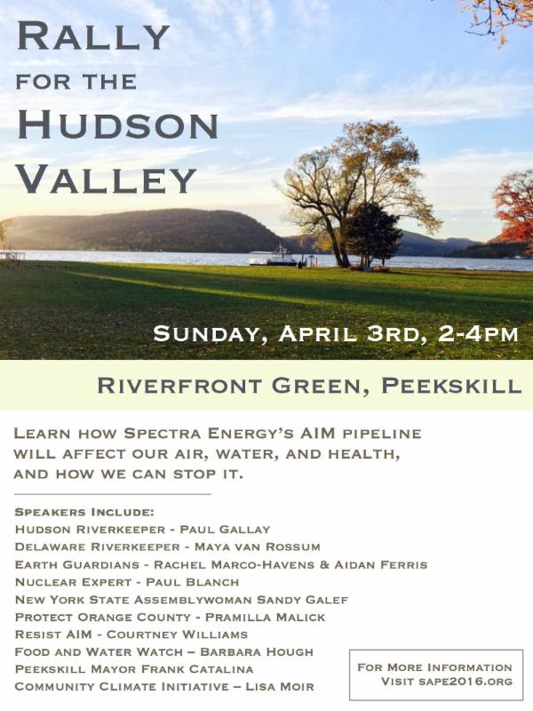 rally for the hudson valley solar blog image